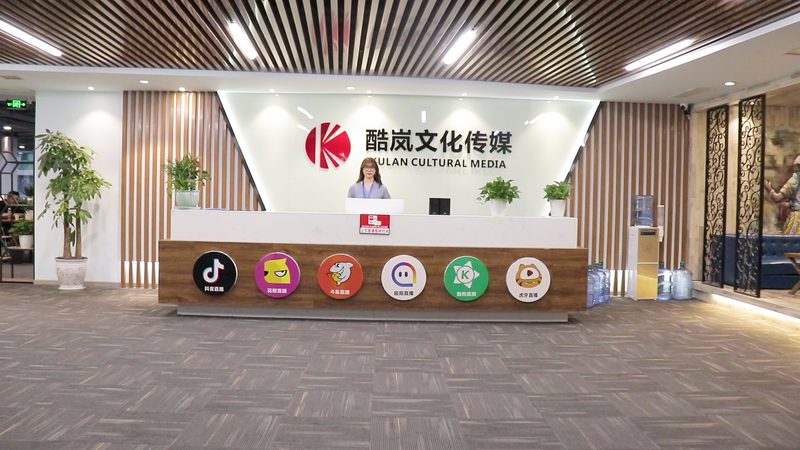 文化传媒公司加盟合同模板：关键要素与注意事项**